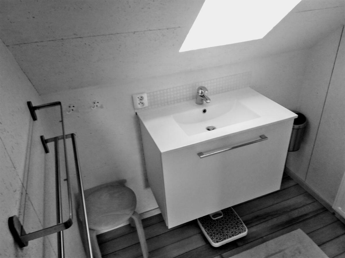 奥德纳尔德Studio Flandrien别墅 外观 照片